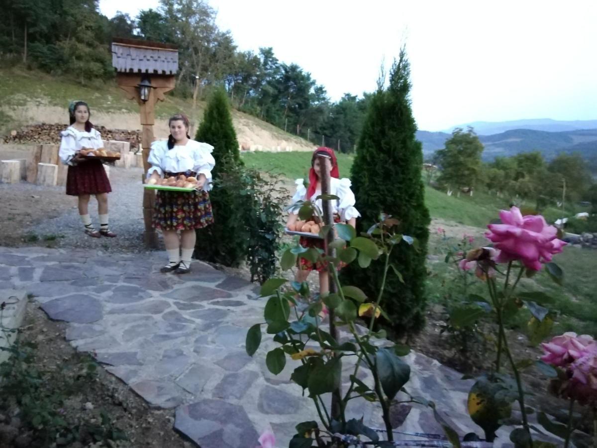 Nanesti Pensiunea Valea Branzei מראה חיצוני תמונה