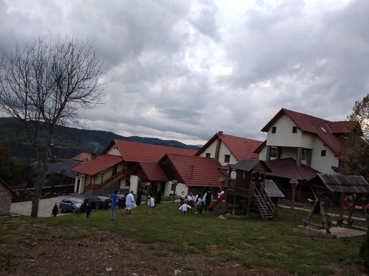 Nanesti Pensiunea Valea Branzei מראה חיצוני תמונה