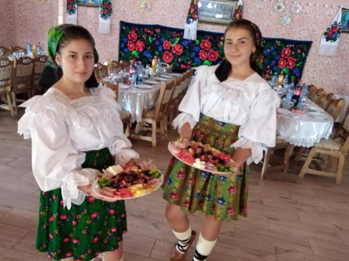 Nanesti Pensiunea Valea Branzei מראה חיצוני תמונה