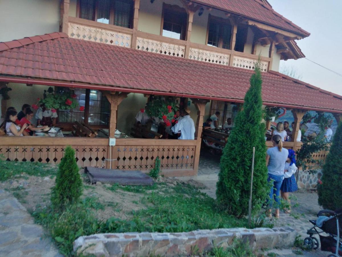 Nanesti Pensiunea Valea Branzei מראה חיצוני תמונה