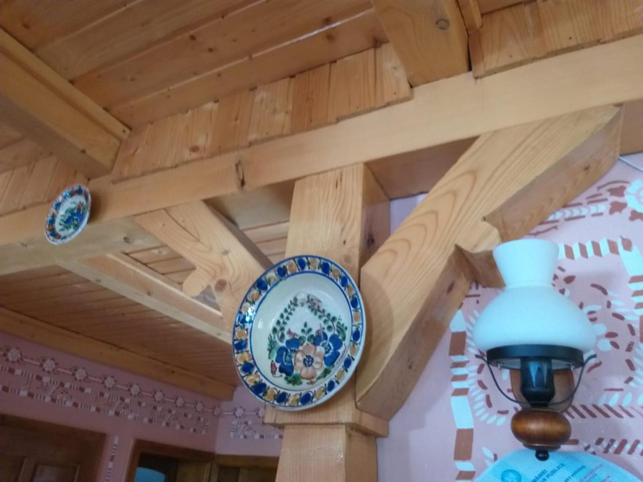 Nanesti Pensiunea Valea Branzei מראה חיצוני תמונה