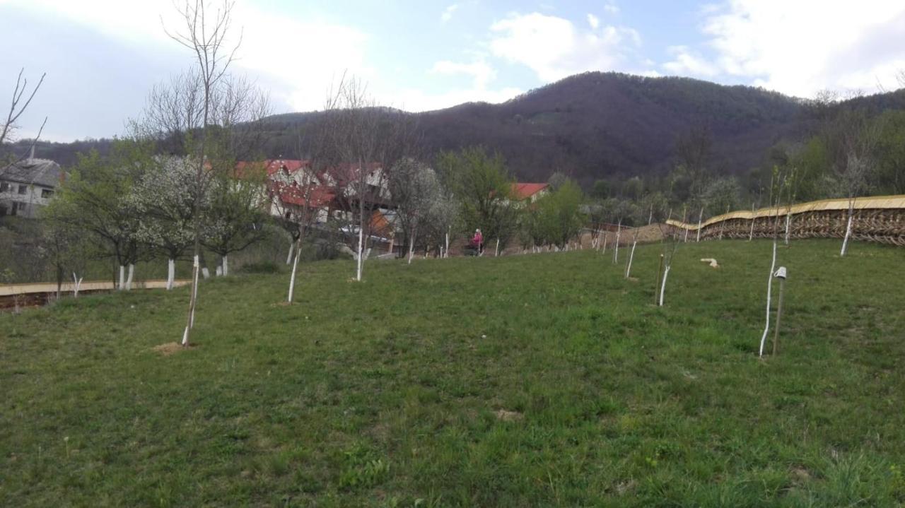 Nanesti Pensiunea Valea Branzei מראה חיצוני תמונה